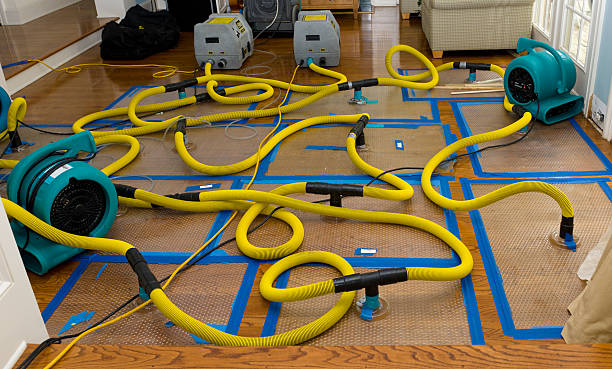 Professional Water Extraction technician working in New Johnsonville, TN